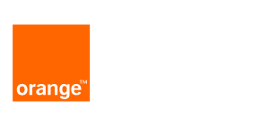 Financial Services 11 orange logo